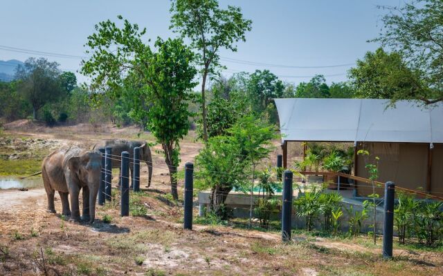 Elephant View Camp