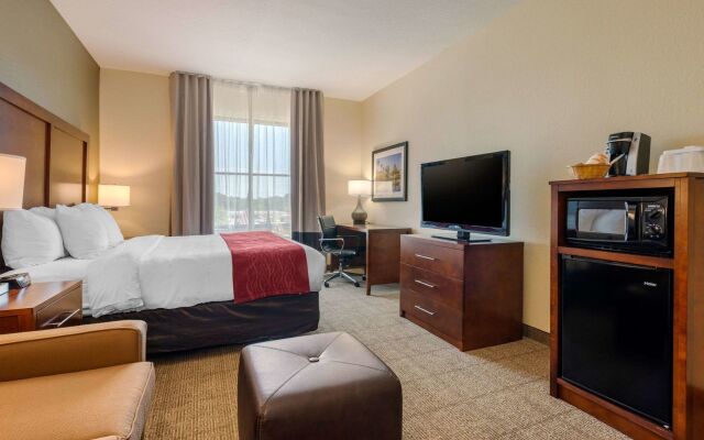 Comfort Inn & Suites St. Pete - Clearwater International Airport