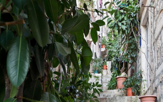 Old Town Economy Apartments