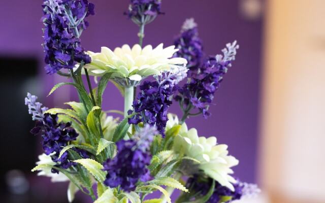 The Ivy Serviced Apartments