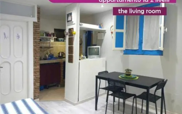 Apartment mYourHome