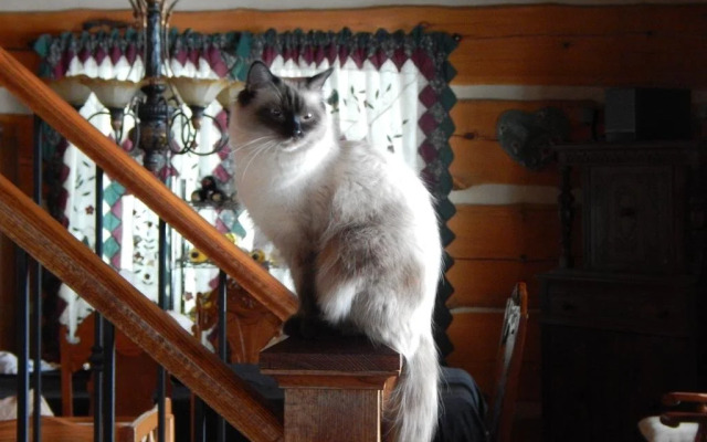 MoonStone Bed and Breakfast