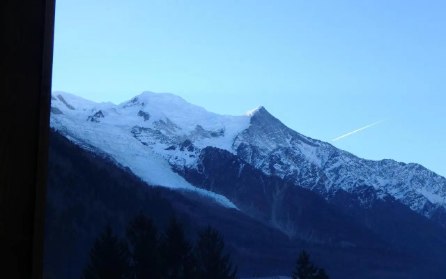 Chamonix IRIS