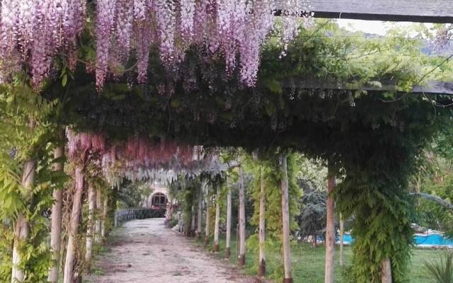 Tenuta Le Pantanelle