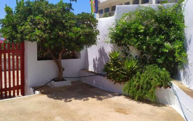 Almond trees house