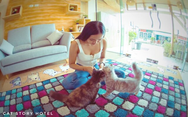 Cat Story Hotel