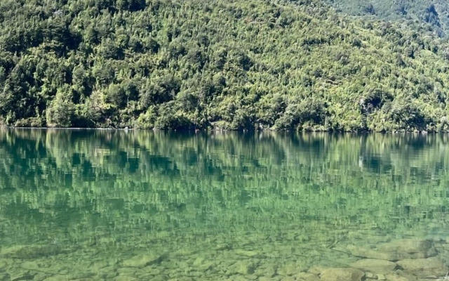 Tawa Refugio del Puelo