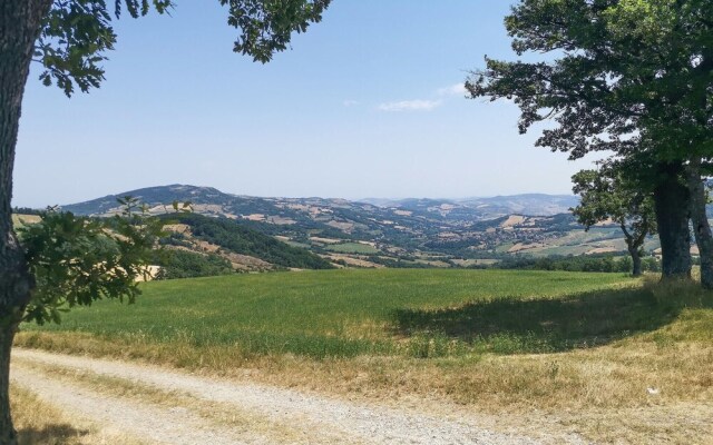 Nice Apartment in Villagrande di Monteco With 2 Bedrooms