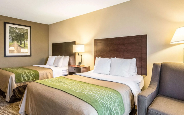 Comfort Inn Lansing West