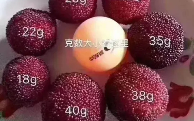 Old Village Chief Hostel