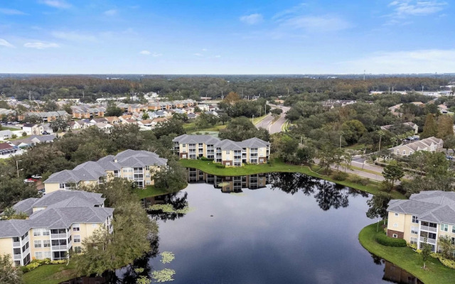 The Urban Oasis Serene Views!