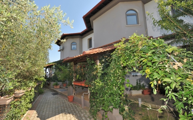 Alice Wonderland Studio 1- Nea Flogita Halkidiki