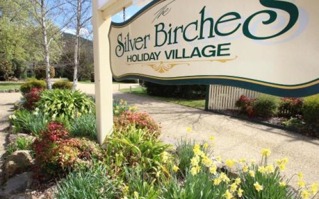 Silver Birches Holiday Unit 2