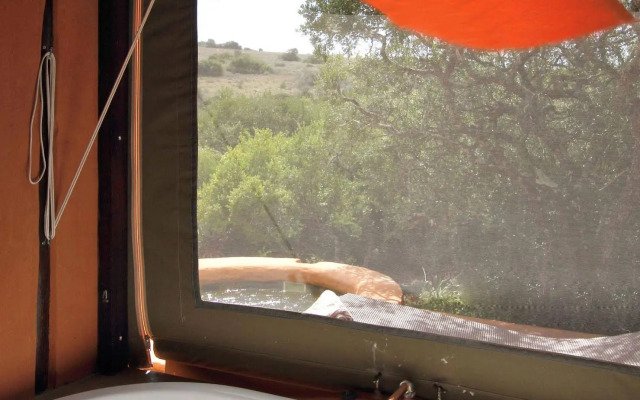 The Safari Lodge