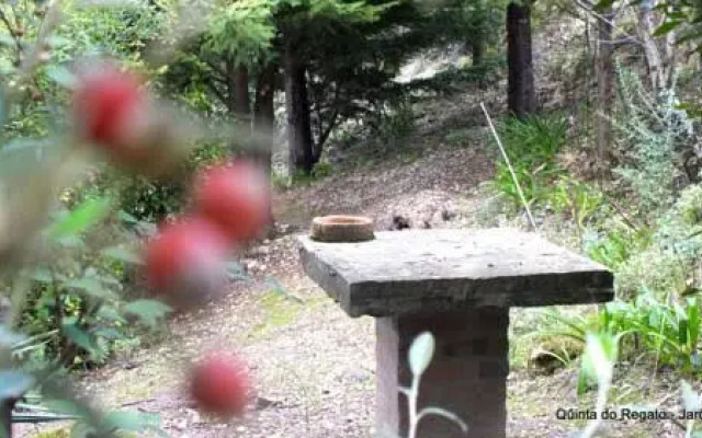 Quinta do Regato
