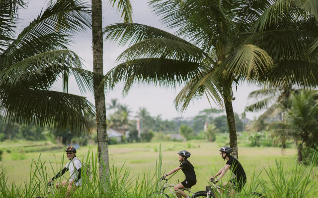 Alila Ubud. Bali