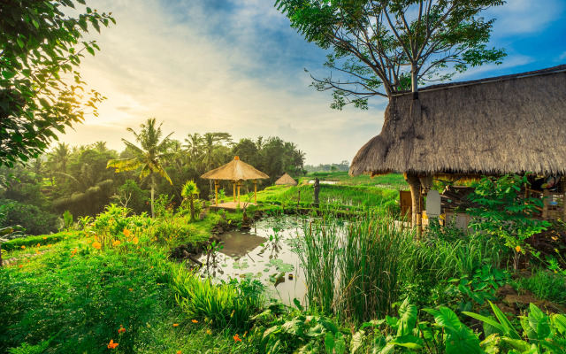 Visesa Ubud Resort