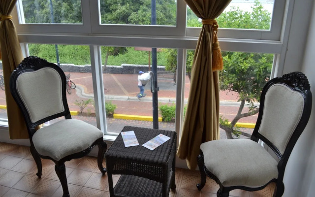 Hostal Flightless Cormorant