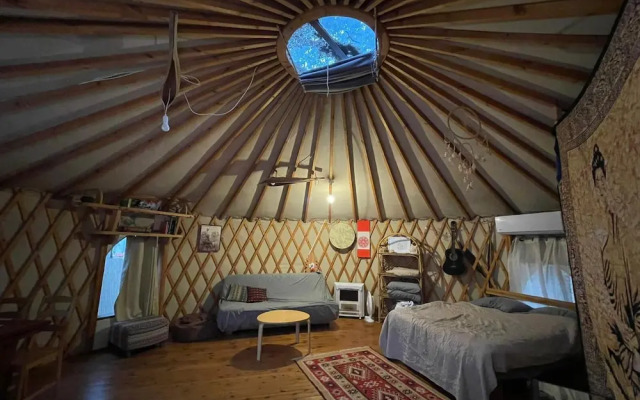 Yurt Located in a Little oak Grove