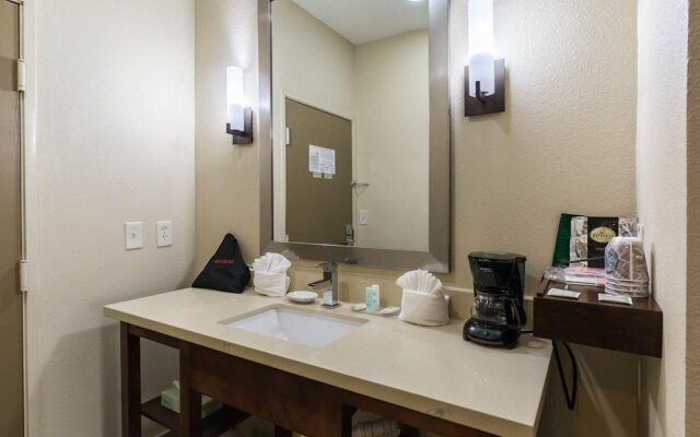 Econo Lodge Inn & Suites East Houston I-10