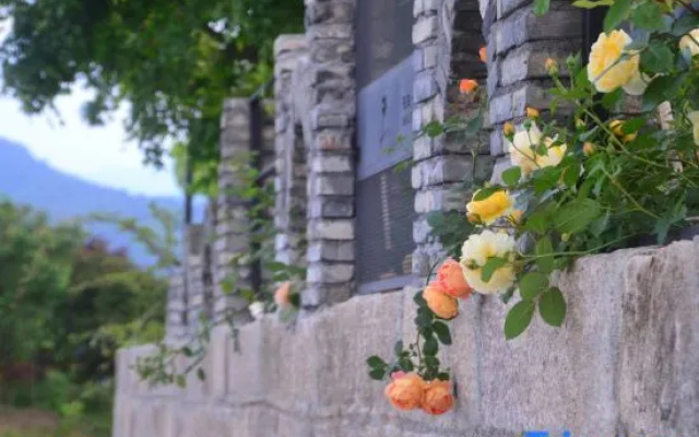 Lianshan Feisu · Designer's Sense of Natural Beauty Stay