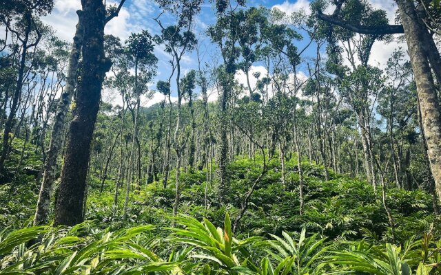 Mystic Mayapott Thekkady