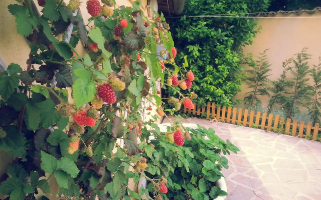 Tenuta Fagnanetto