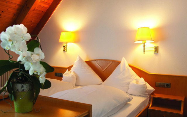 Hotel-Restaurant Hirsch Berghaupten