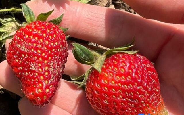 Beijing Banshan Homestay