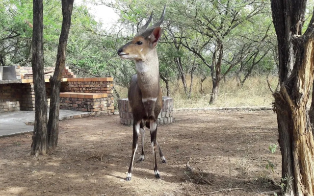 Umvangazi Rest - Enjoy a Relaxing, Rejuvenating and Peaceful Setting in the Bush