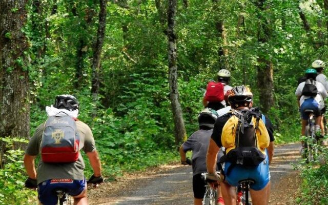 Hôtel des Gorges du Tarn