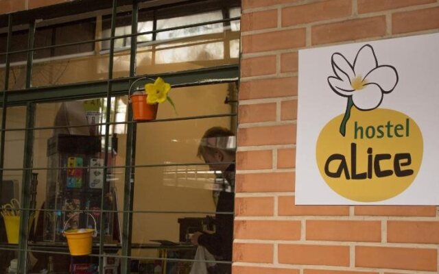 Hostel Alice