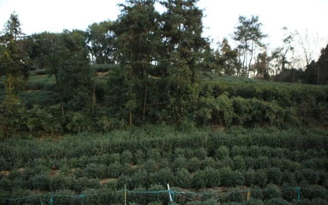 Su Jie Mu Shi Homestay