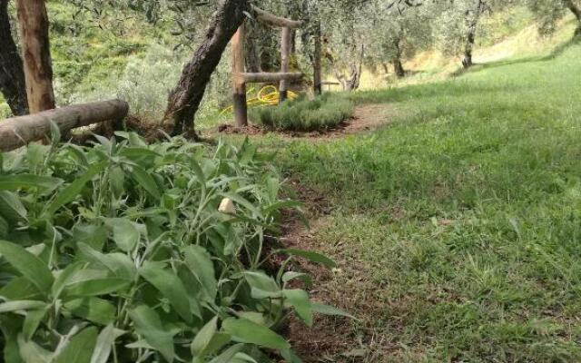 Olivia B&B and Apartment