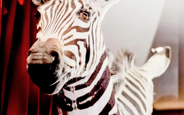 Park Hotel Grenoble - MGallery Collection