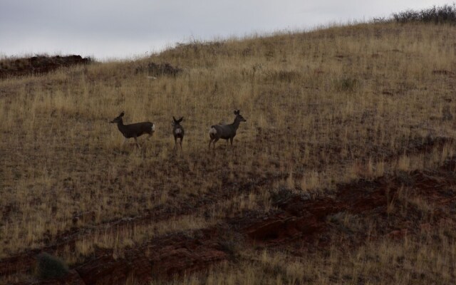 Bighorn Lodge and Angler