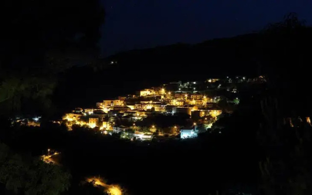 La Gatta Del Cilento