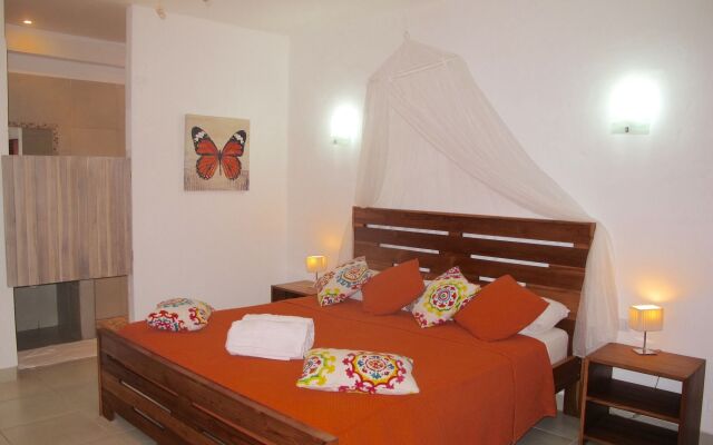 Casa Mapache B&B