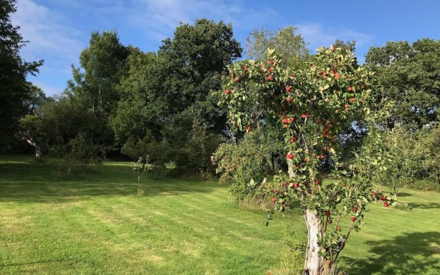 Rosebank Bed & Breakfast