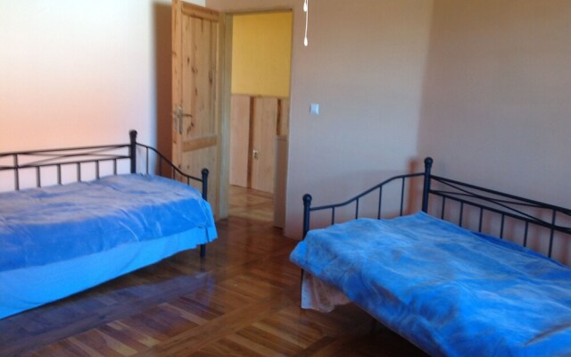 Vacation house for more than family