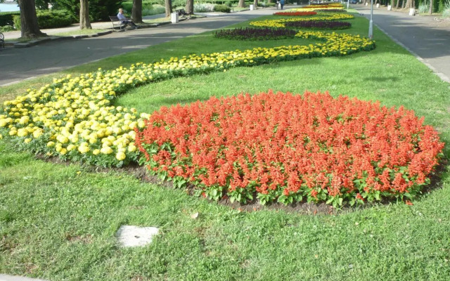 Sea Garden Plaza Apartment