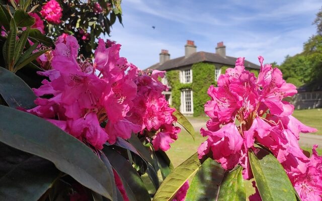 Tyrella House