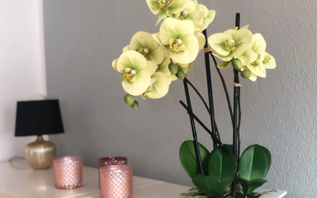 Wohnen wie zuhause - zu Gast in Erfurt