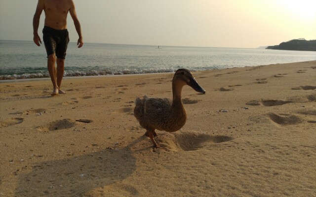 The Most Beautiful Bay