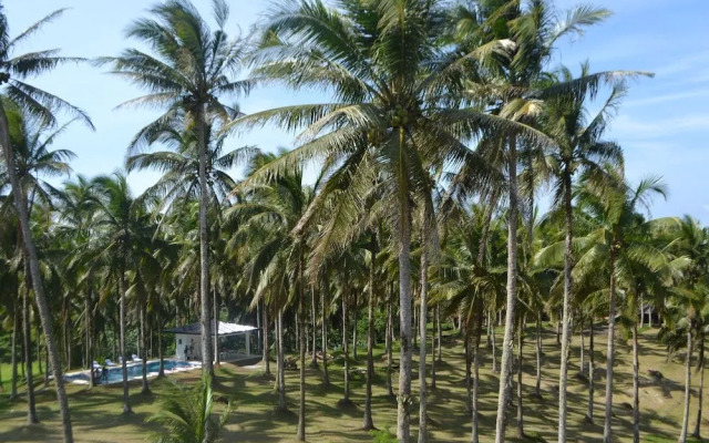 Caliraya Ecoville Recreation and Farm Resort