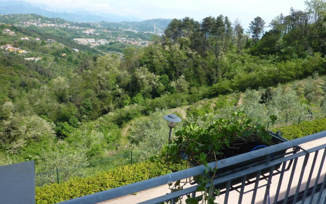 Gli Ulivi Di Montalbano