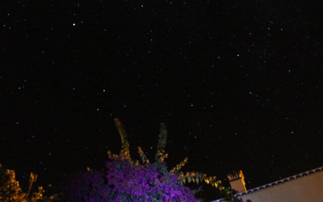 Los Nacientes Cordero by Isla Bonita