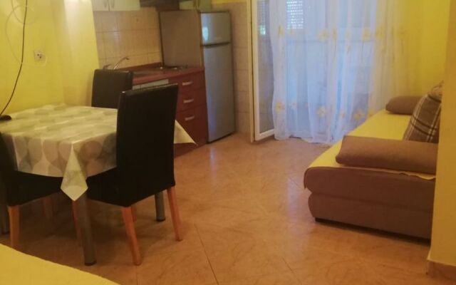 Studio apartment Pool - swimming pool and grill SA2 Bibinje, Zadar riviera