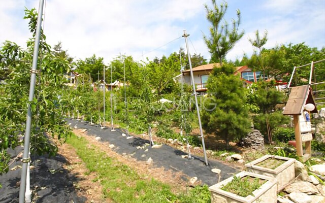 Pyeongchang Abbey Road Pension