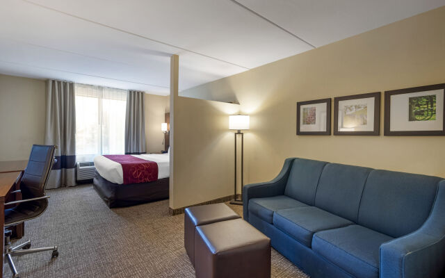 Comfort Suites Fredericksburg North